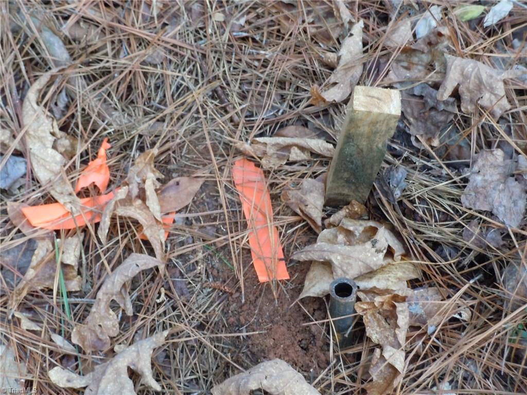 0 Germanton Road, Unit TRACT B Rural Hall, NC 27045 - Photo 4 of 30