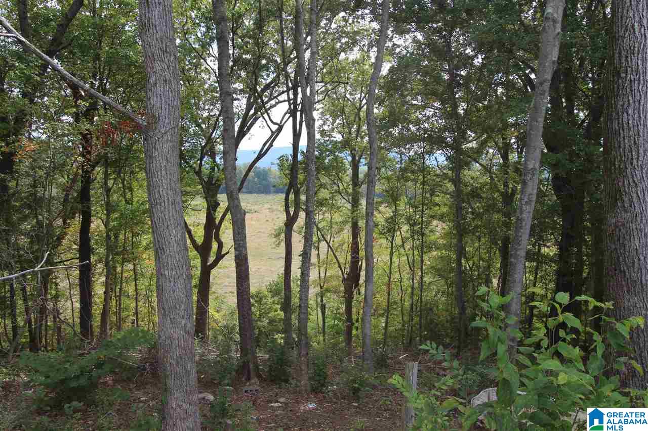 1051 Aderholt Road Piedmont, AL 36272 - Photo 8 of 9