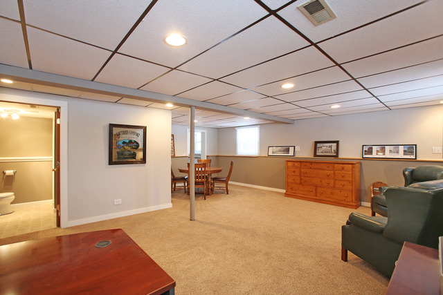 720 41st Street Downers Grove, IL 60515 - Photo 13 of 20
