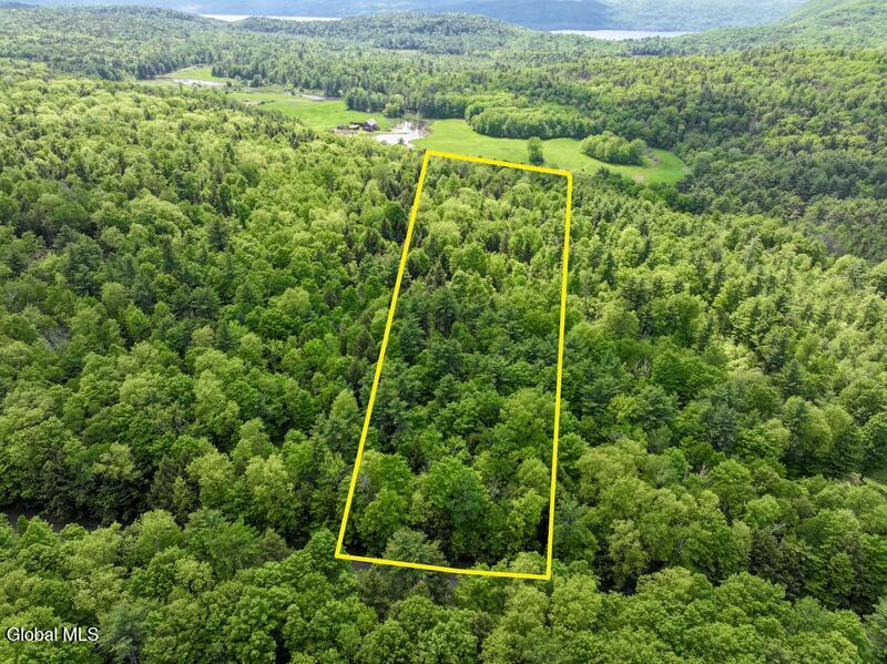 L2 Liddle Harris Road Putnam Station, NY 12861 - Photo 7 of 12 Aerial Outline