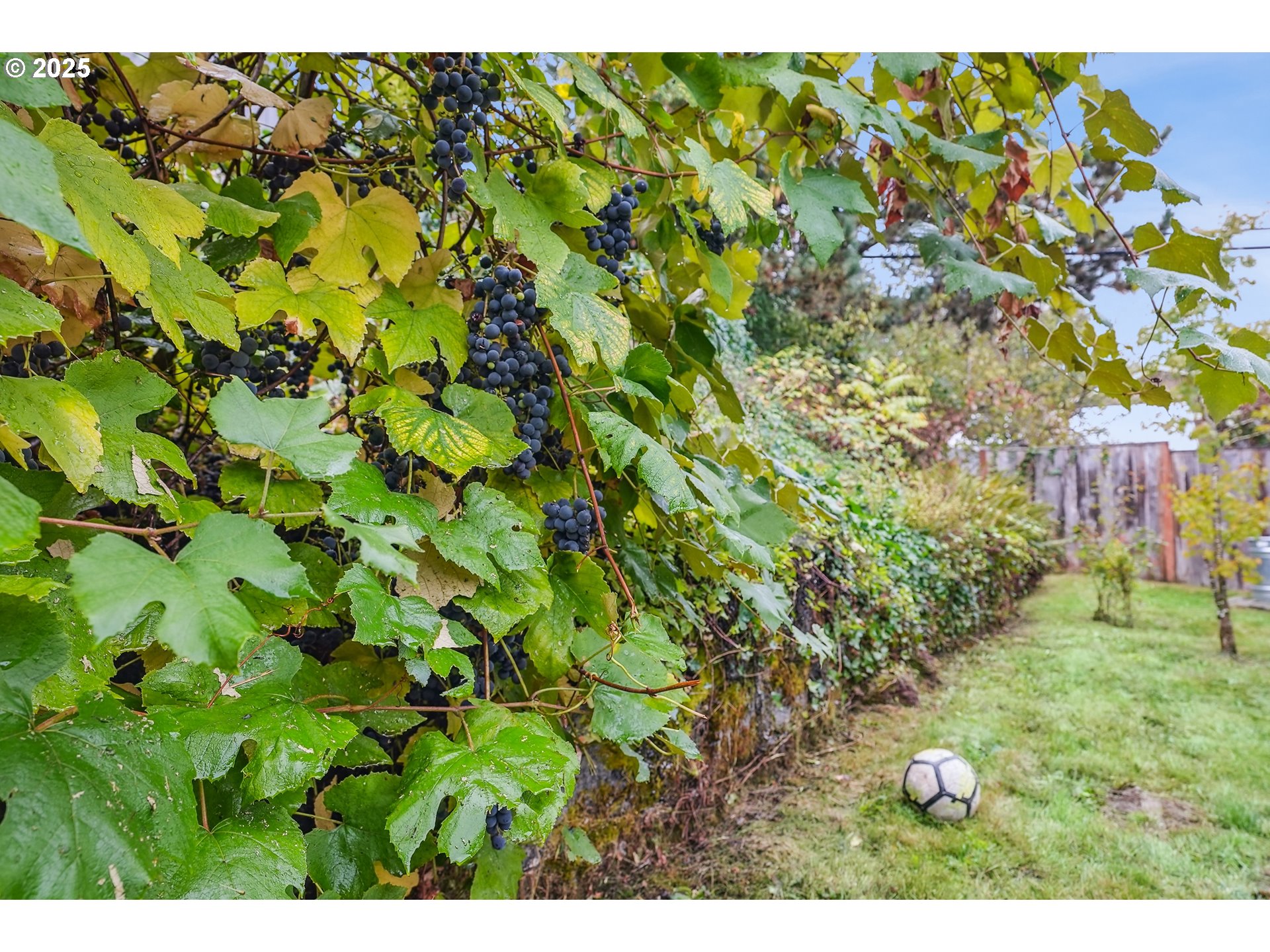 1834 Southwest Miles Street Portland, OR 97219 - Photo 29 of 42