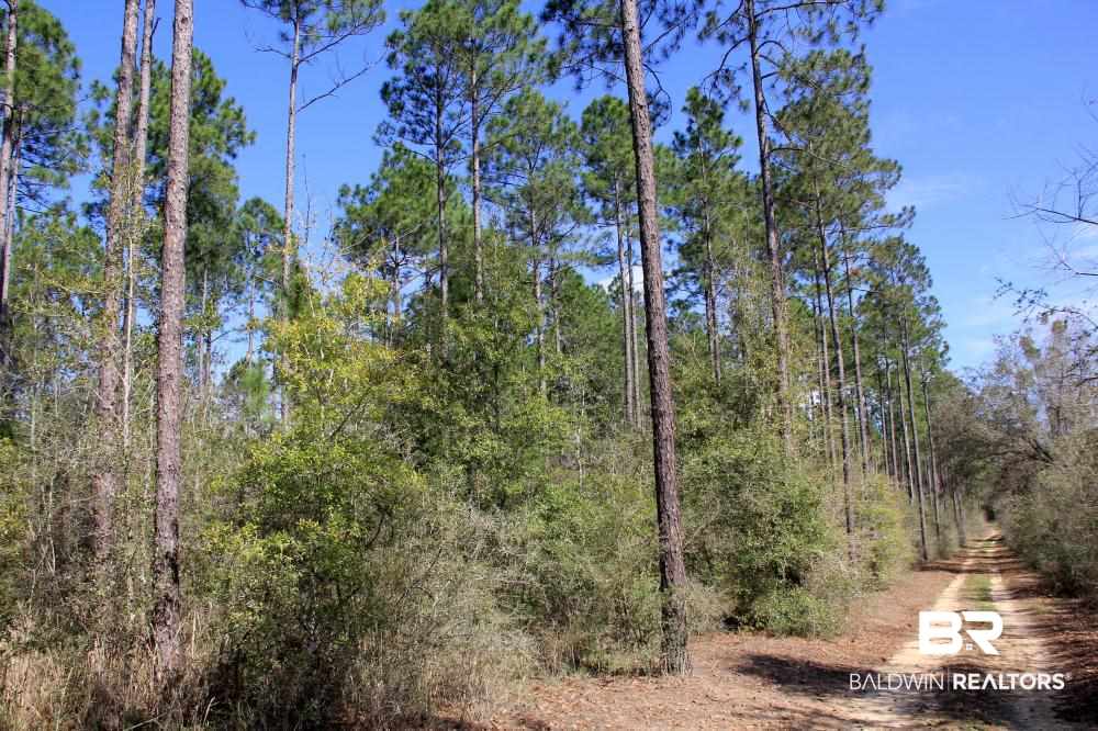0 County Road 49 Loxley, AL 36551 - Photo 27 of 33