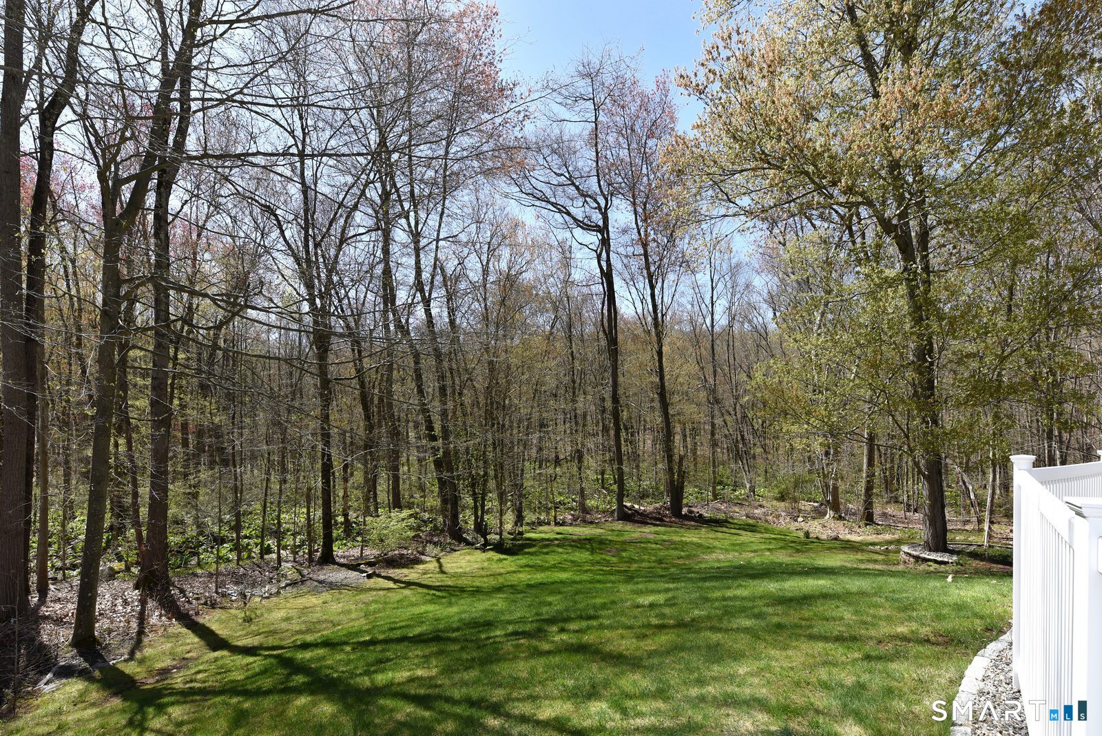 31 North Maple Street East Hampton, CT 06424 - Photo 35 of 38 a view of a backyard with large trees
