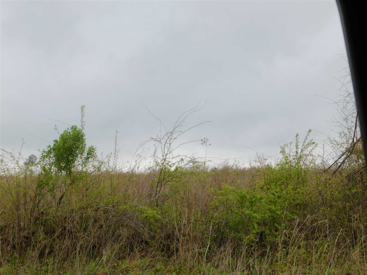0 Babe Lawrence Road Florala, AL 36442 - Photo 15 of 17 Gallery Image 15