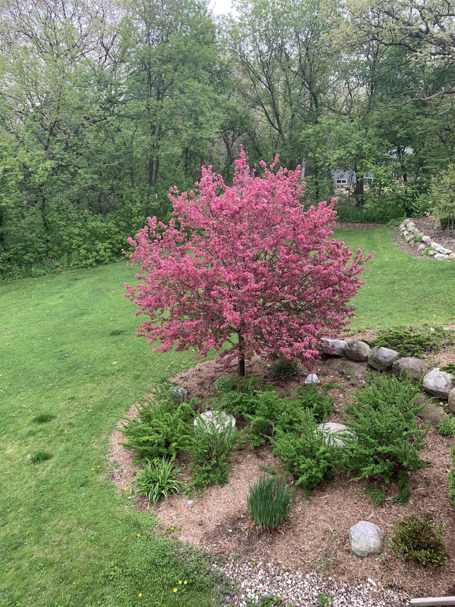 3811 Riege Deerfield, WI 53531 - Photo 57 of 77