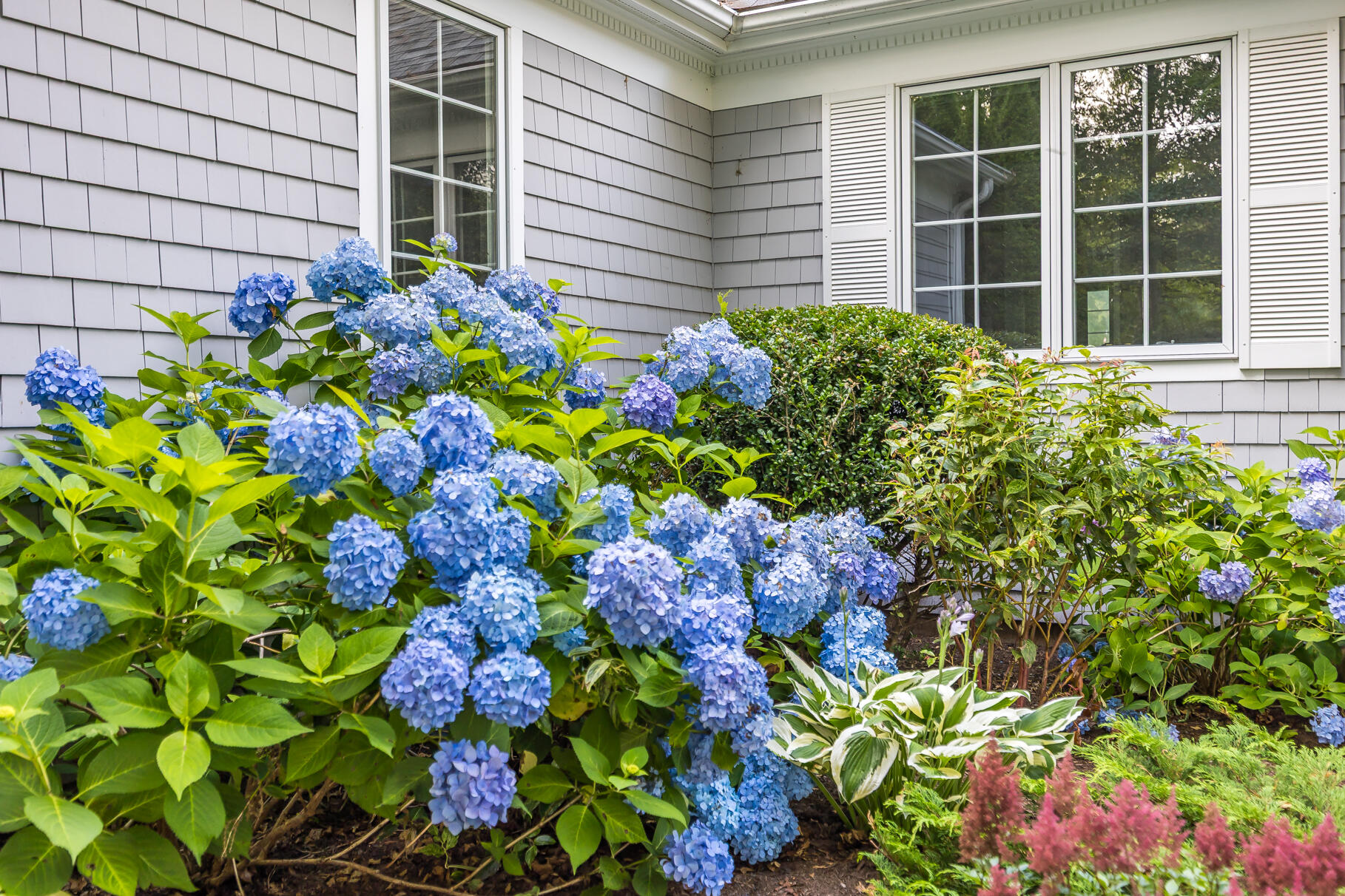 111 Reflection Drive Sandwich, MA 02563 - Photo 48 of 56 8P0A9551