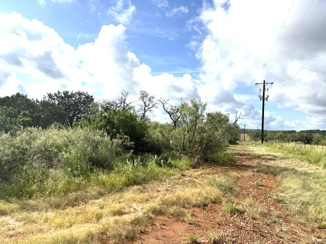 a view of a forest with trees in front of it