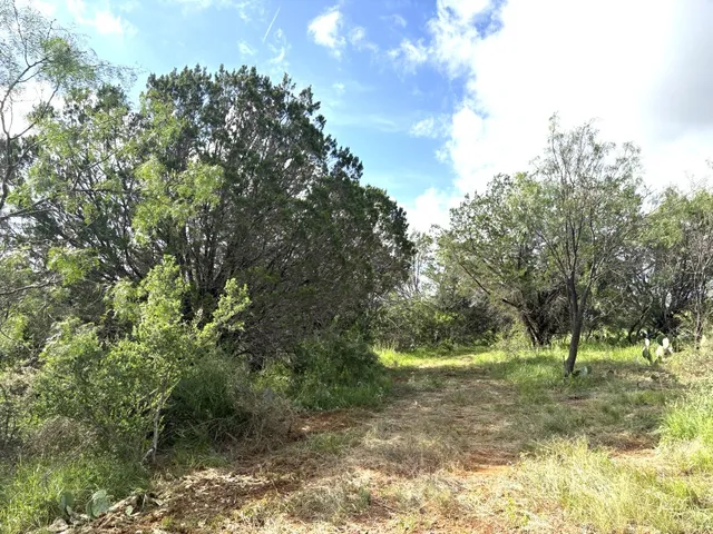 a view of a lake view
