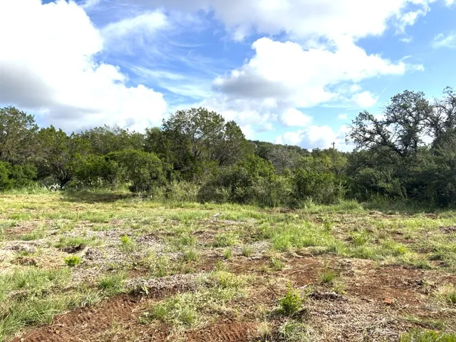 a view of a field with trees in the background