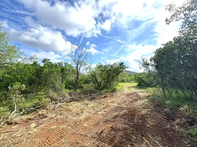a view of a yard with a tree