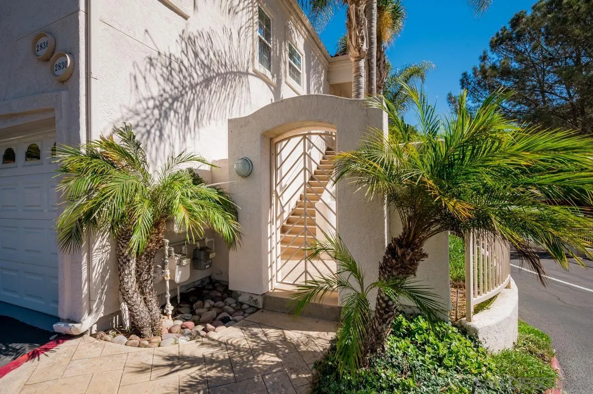 2836 Torrey Pines Road La Jolla, CA 92037 - Photo 4 of 35 a view of a palm trees front of house with potted plants