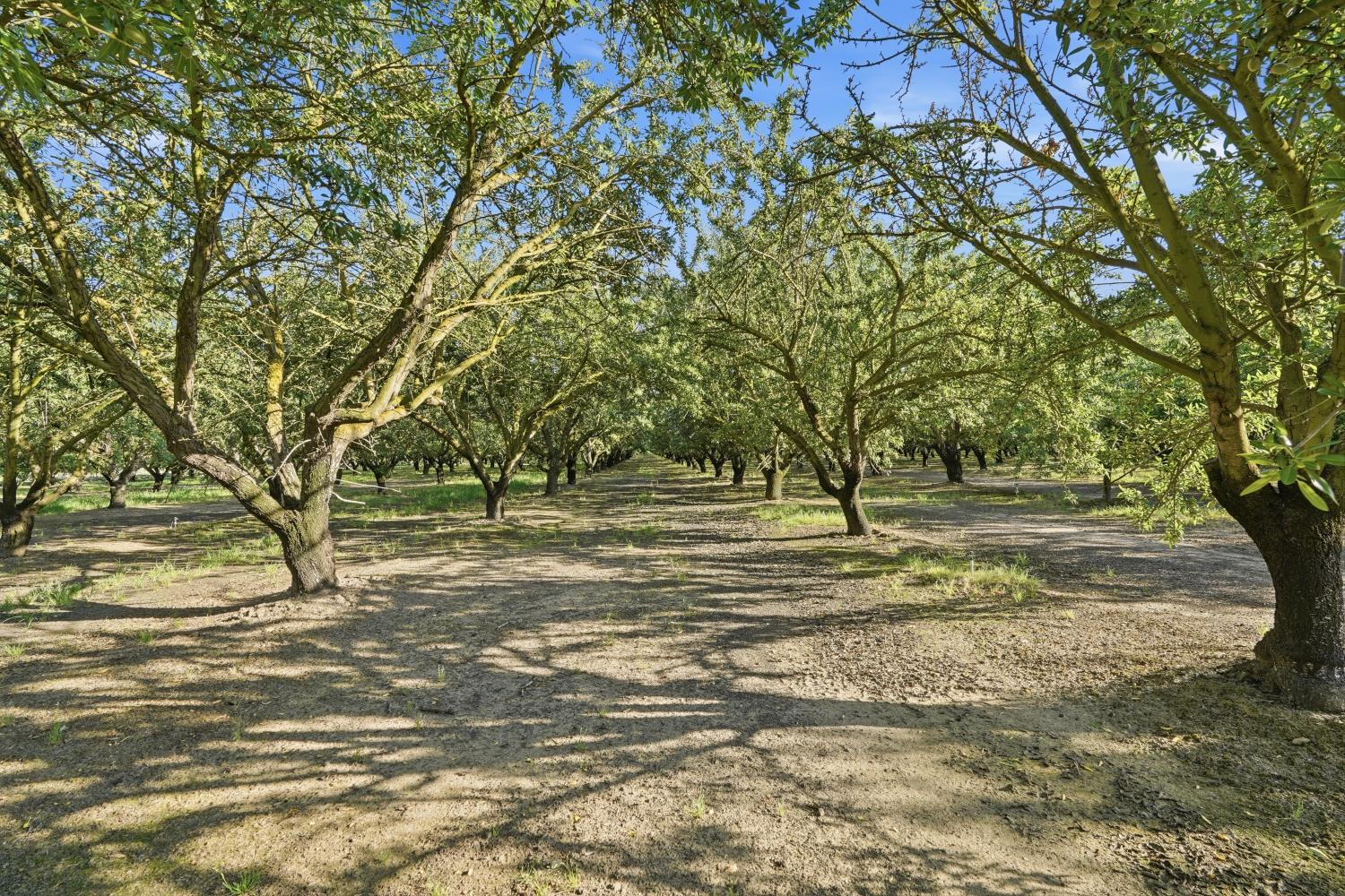 18401 Carrolton Road Ripon, CA 95366 - Photo 29 of 34