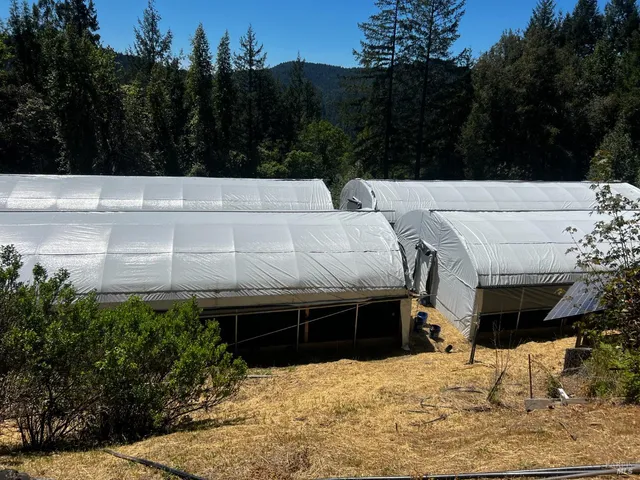 a view of outdoor space yard and patio