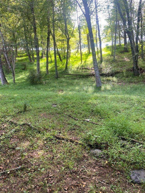 Tbd Cornerstone Road Independence, VA 24348 - Photo 16 of 17 Gallery Image 16