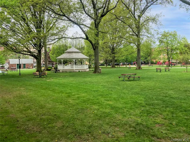 a big yard with large trees