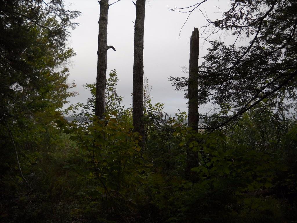 53-54 Whitmore Road Ellsworth, ME 04605 - Photo 12 of 27 Photo