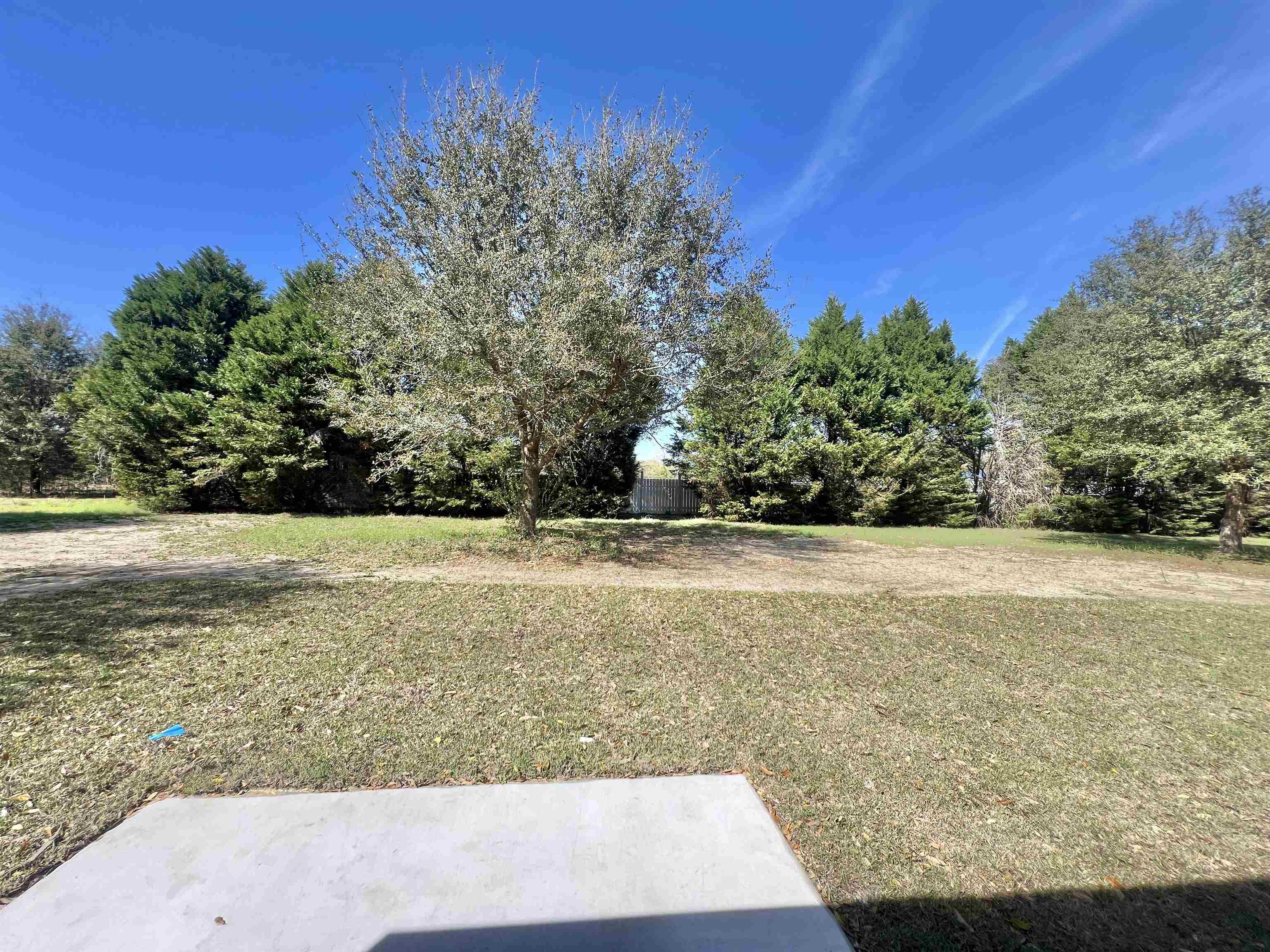 2192 Senator Gasque Road Marion, SC 29571 - Photo 16 of 18