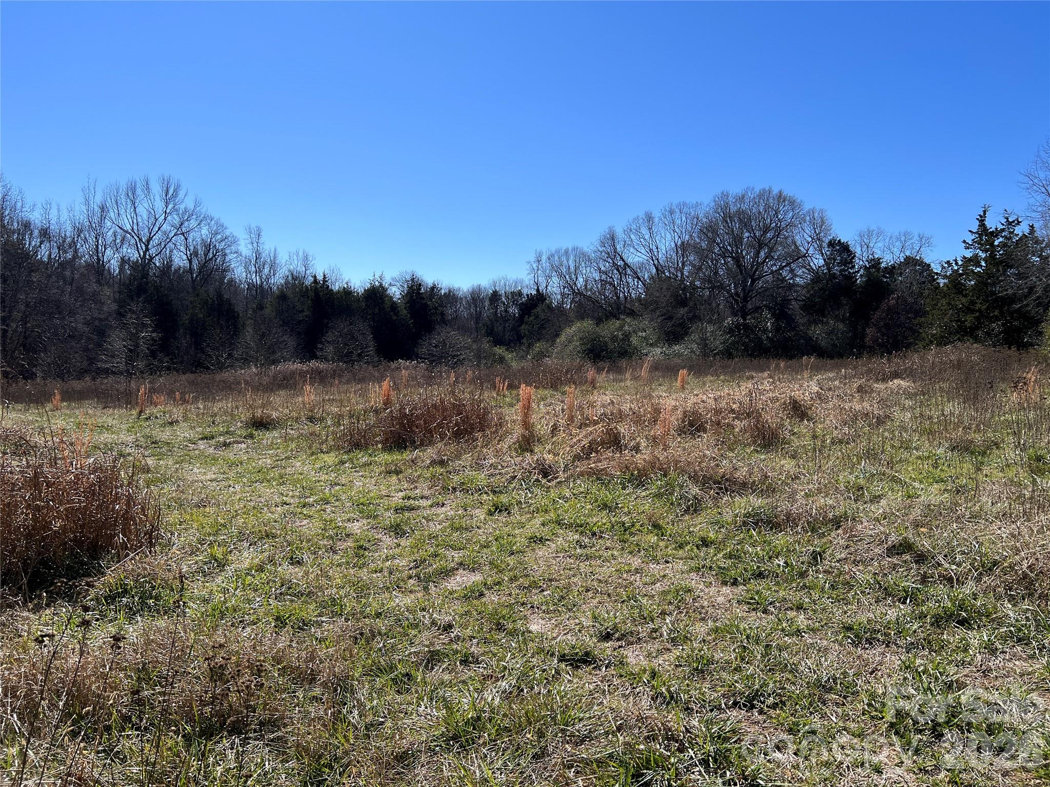 996 Split Trail Clover, SC 29710 - Photo 40 of 45 Gallery Image 40