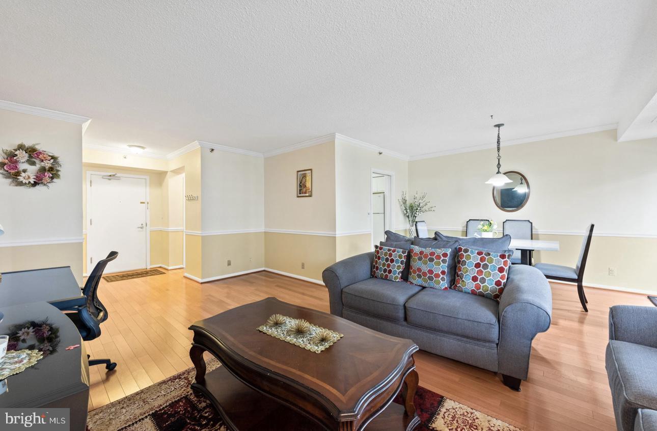 5501 Seminary Road, Unit 801S Falls Church, VA 22041 - Photo 12 of 32 a living room with furniture a rug and a chandelier