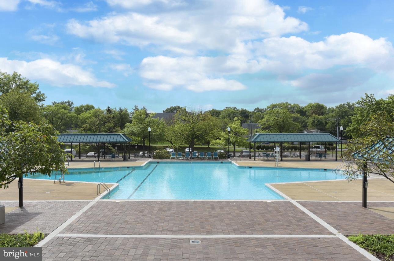 5501 Seminary Road, Unit 801S Falls Church, VA 22041 - Photo 28 of 32 a view of a swimming pool with lawn chairs and plants