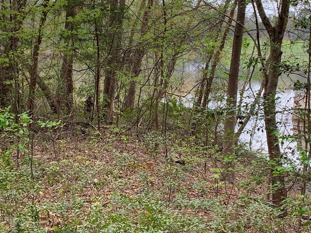 21579 Stevenson Road Frankston, TX 75763 - Photo 9 of 12