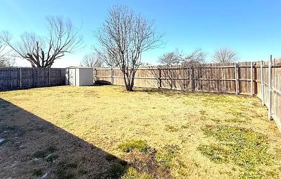a view of backyard with tree