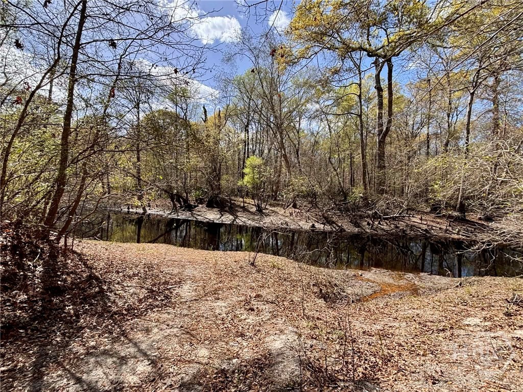112 Ramsey Way Rincon, GA 31326 - Photo 40 of 40 Ebenezer Creek access from Cubbedge Dr.