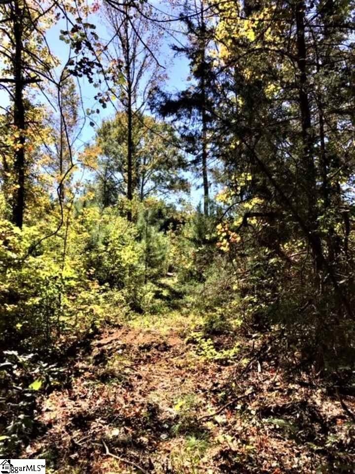 155 North Kelly Road Woodruff, SC 29388 - Photo 21 of 34 Gallery Image 21