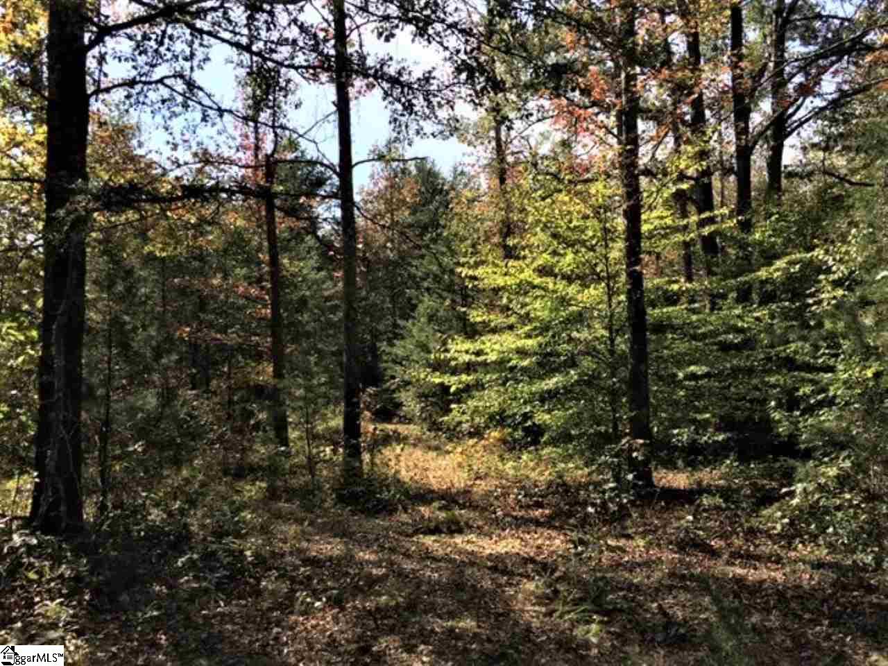 155 North Kelly Road Woodruff, SC 29388 - Photo 10 of 34 Gallery Image 10