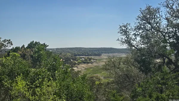 a view of a dry yard with lots of bushes