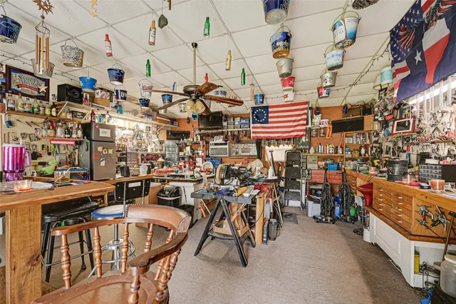 a view of a backyard with plants and large tree