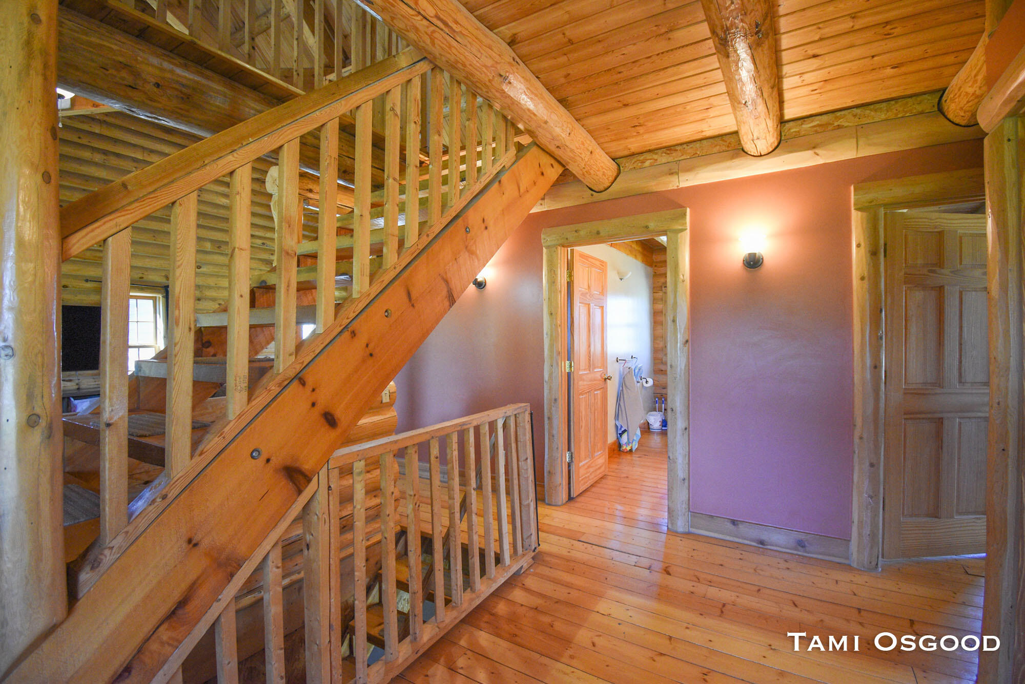 3688 South Ferris Road Sumner, MI 48889 - Photo 10 of 60 DSC_0047RsRs