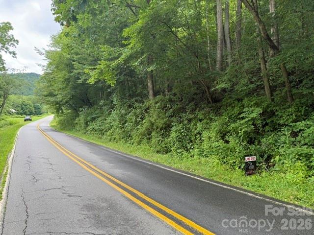 Tbd Meadow Fork Road Hot Springs, NC 28743 - Photo 17 of 20