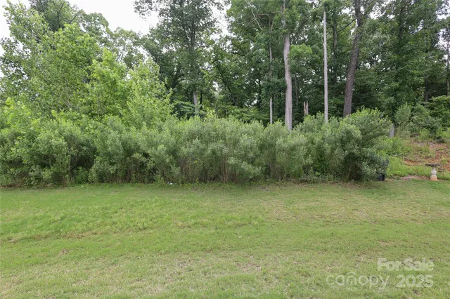 a view of backyard with a garden and plants
