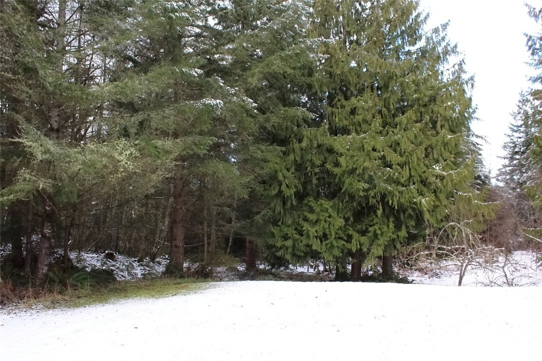 698 Black Diamond Road Port Angeles, WA 98363 - Photo 22 of 22 Gallery Image 22