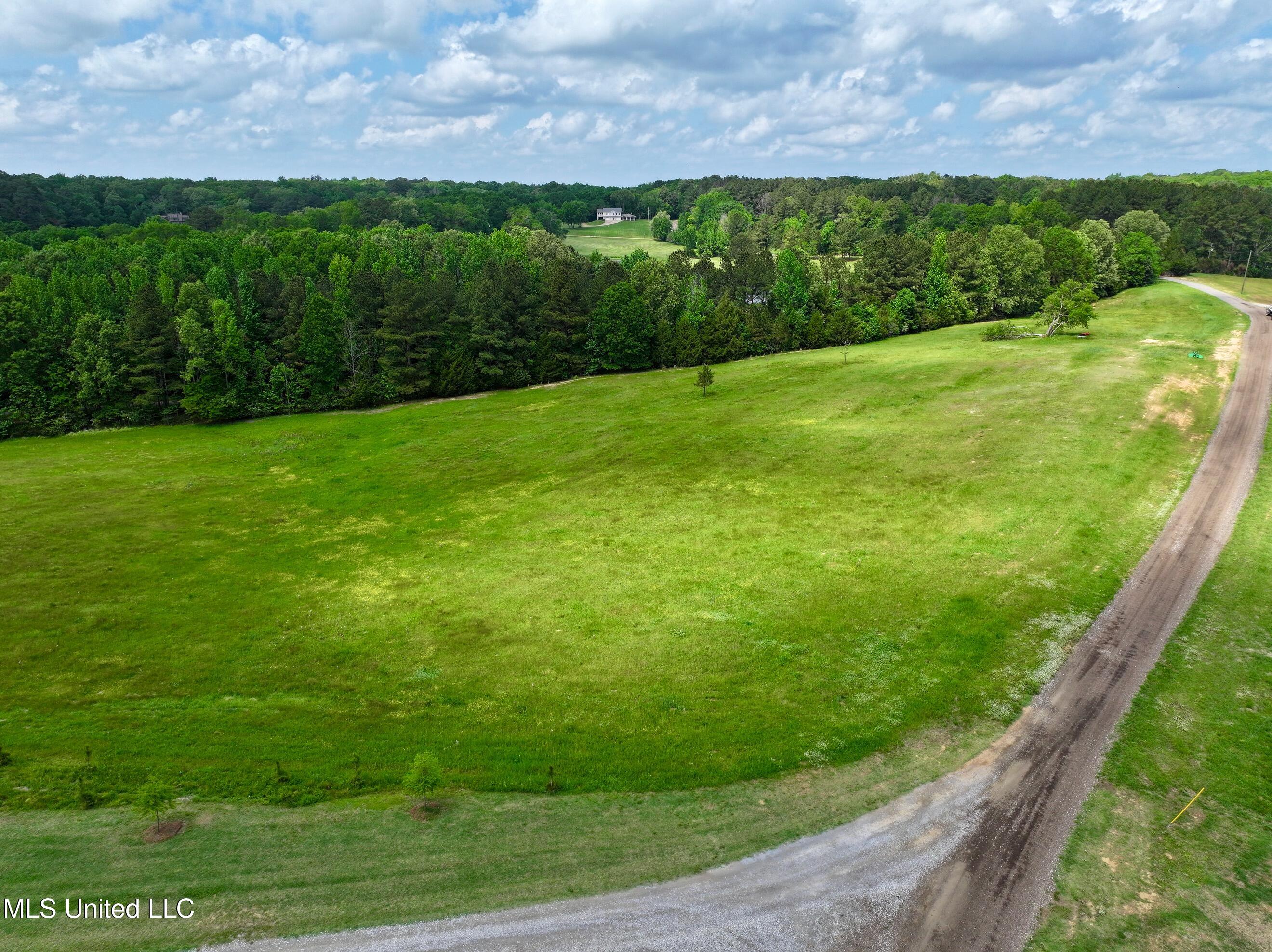 1 Sandy Lane Flora, MS 39071 - Photo 2 of 8 dji_fly_20250422_125630_0002_17453484207