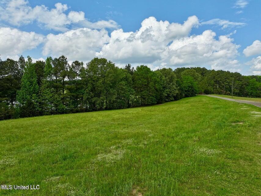 1 Sandy Lane Flora, MS 39071 - Photo 6 of 8 20250423201723393008000000-o