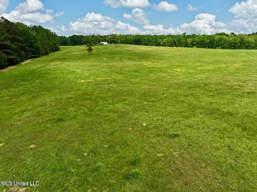 1 Sandy Lane Flora, MS 39071 - Photo 7 of 8 20250423201736568874000000-o