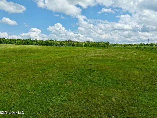 $249,000 | 1 Sandy Lane, Flora, MS 39071