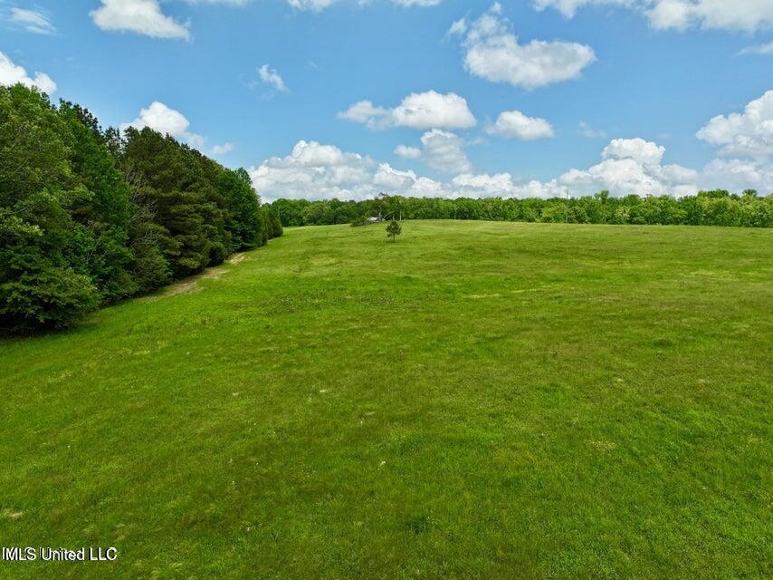 1 Sandy Lane Flora, MS 39071 - Photo 8 of 8 20250423201746583127000000-o