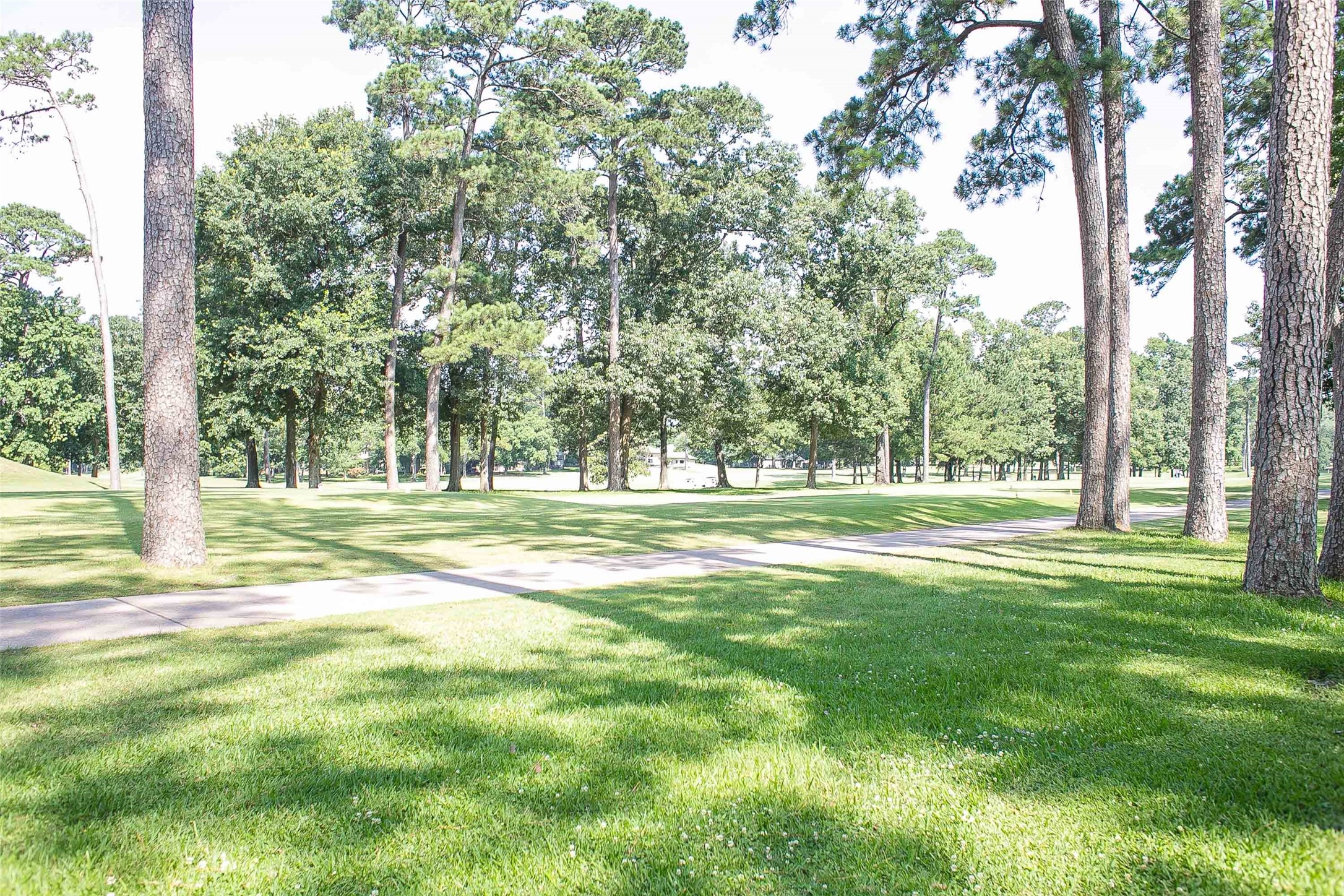 12900 Walden Road, Unit 220B Montgomery, TX 77356 - Photo 31 of 50
