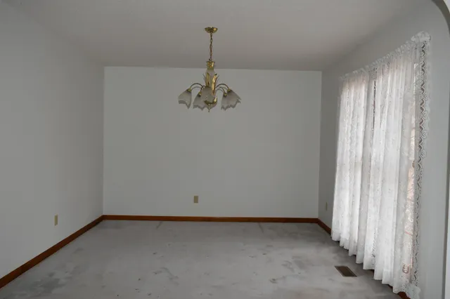 a view of a yard with trees