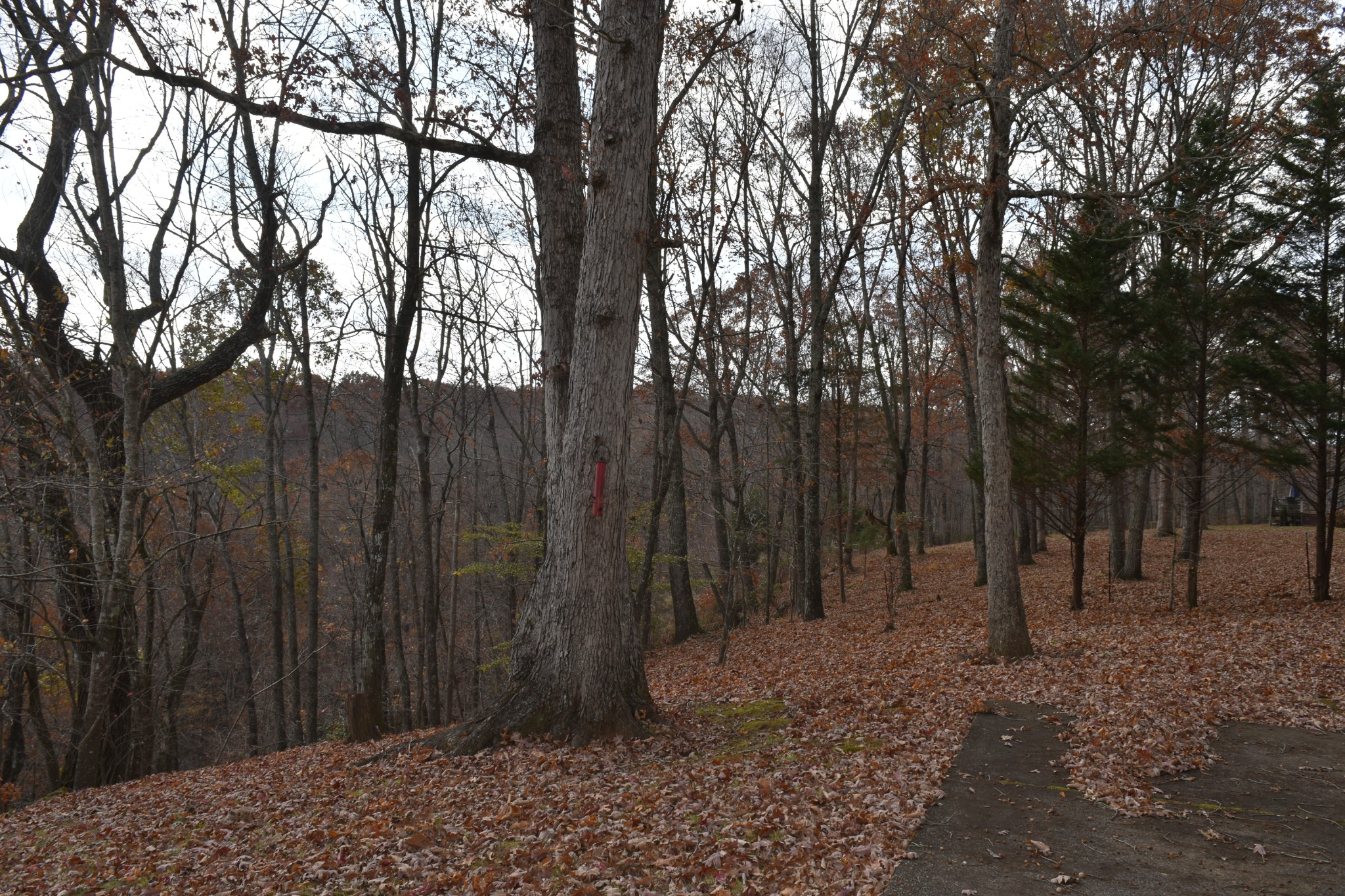 1454 Stagecoach Road Sewanee, TN 37375 - Photo 55 of 71