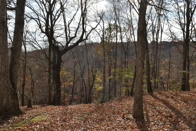 $600,000 | 1454 Stagecoach Road, Sewanee, TN 37375