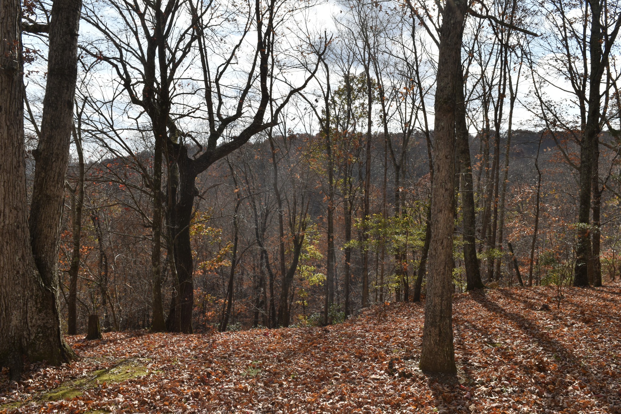 1454 Stagecoach Road Sewanee, TN 37375 - Photo 57 of 71