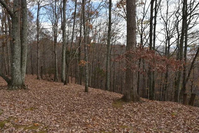 $600,000 | 1454 Stagecoach Road, Sewanee, TN 37375