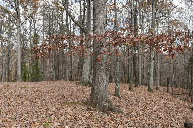 $600,000 | 1454 Stagecoach Road, Sewanee, TN 37375