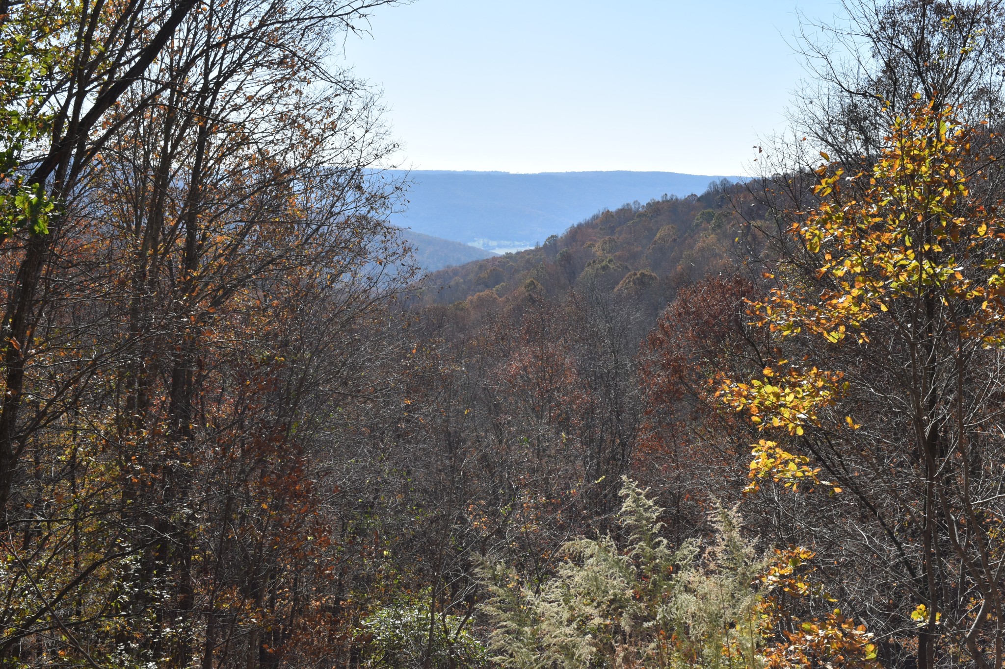 1454 Stagecoach Road Sewanee, TN 37375 - Photo 6 of 71