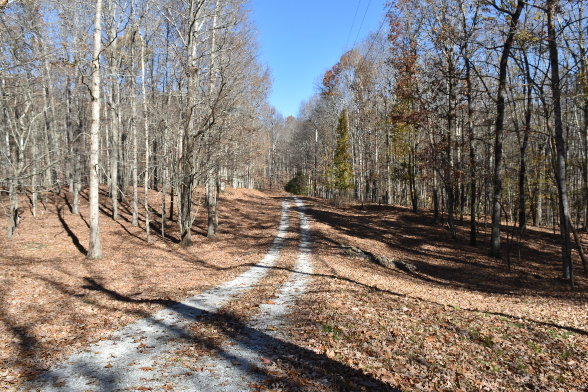 1454 Stagecoach Road Sewanee, TN 37375 - Photo 64 of 71