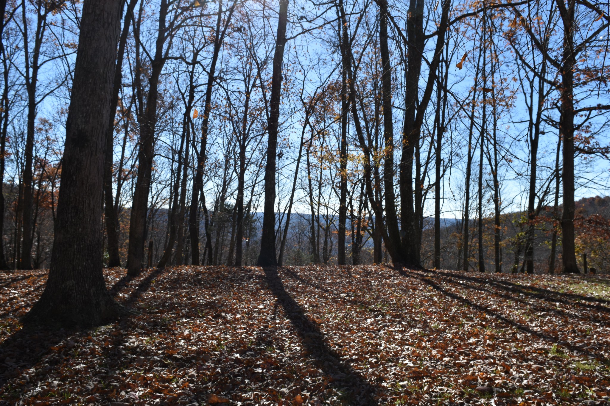 1454 Stagecoach Road Sewanee, TN 37375 - Photo 65 of 71